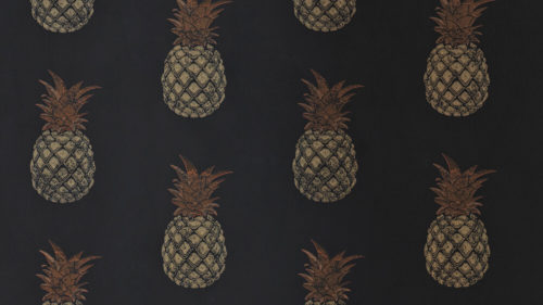 PINEAPPLE CHARCOAL BG1200202